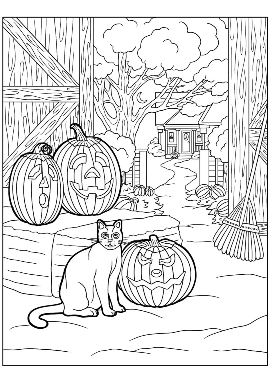 Кот в сарае с тыквами