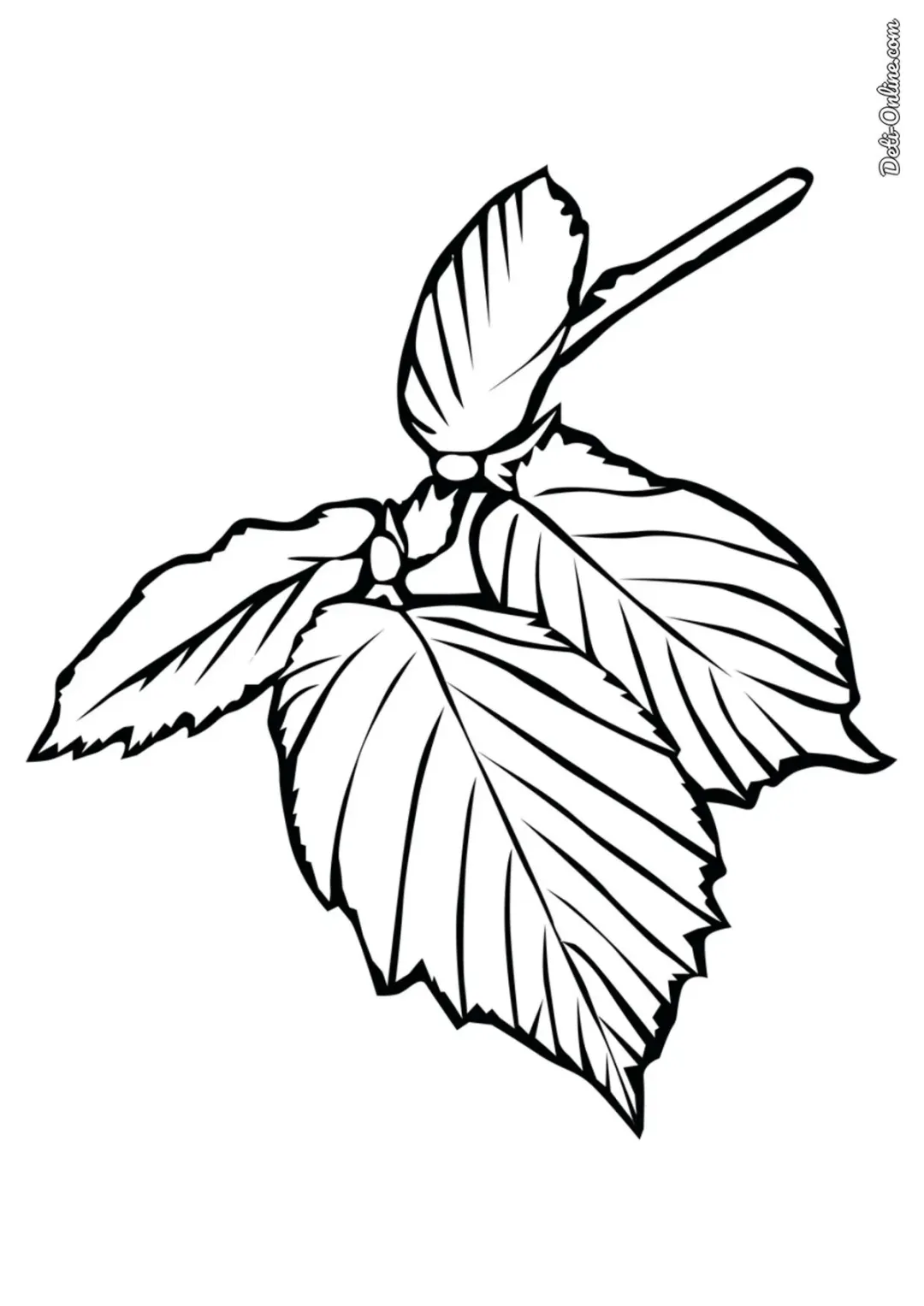 Царский лист