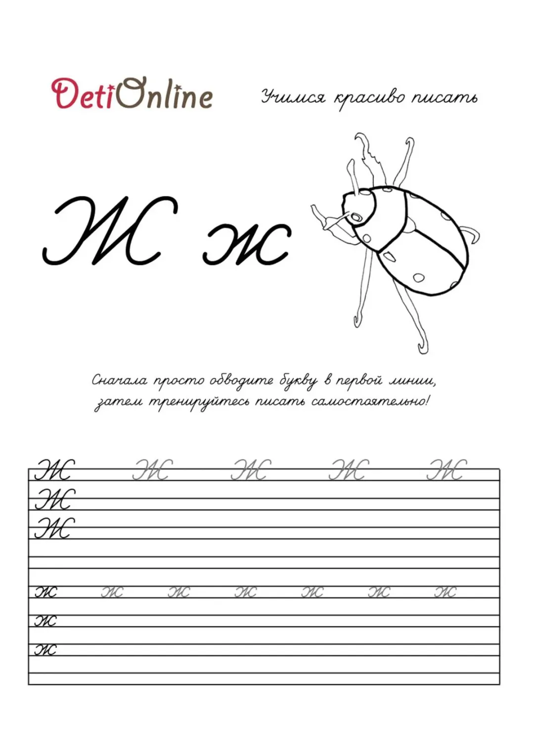 Буква Ж пропись - Жук