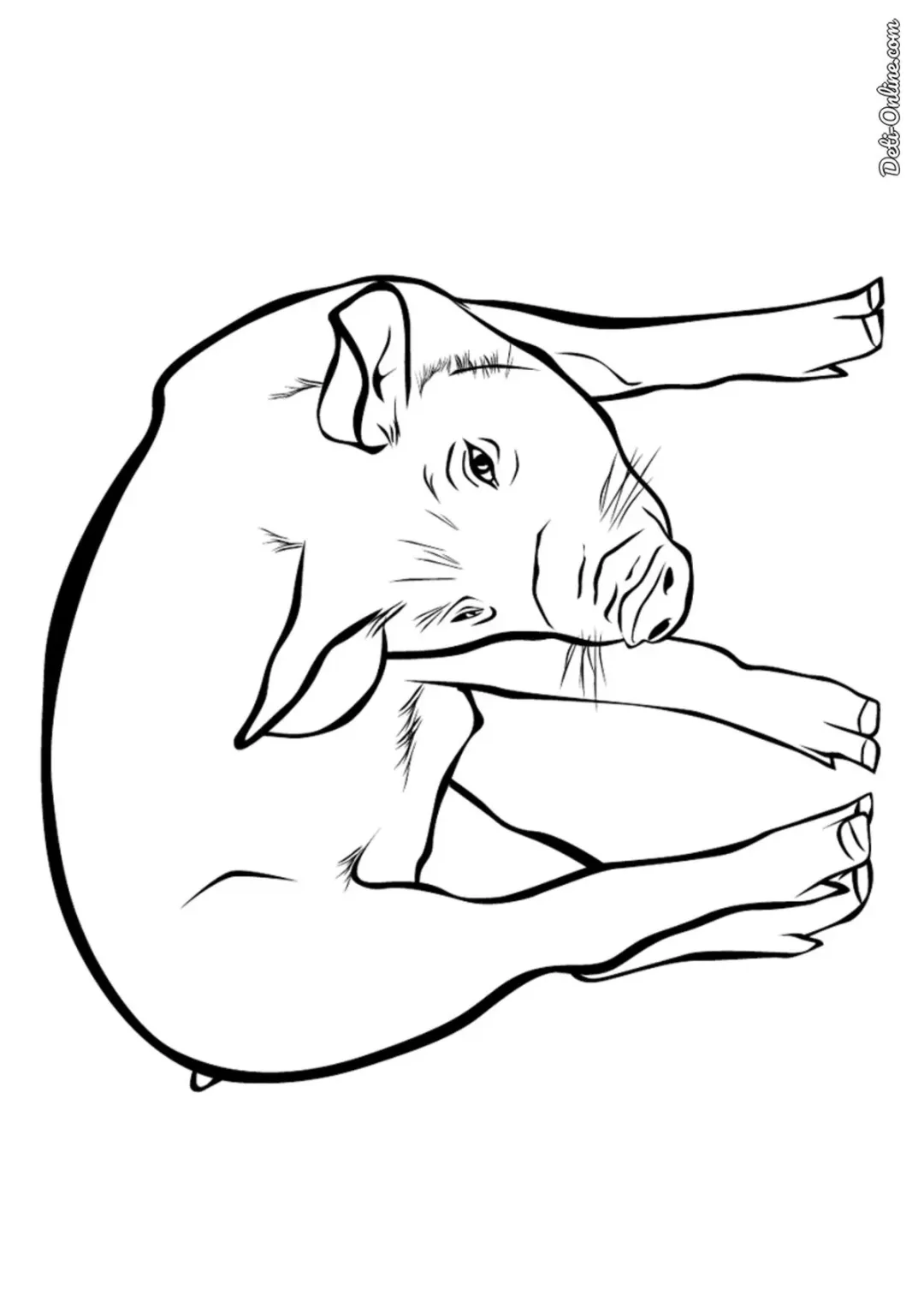 Свинья