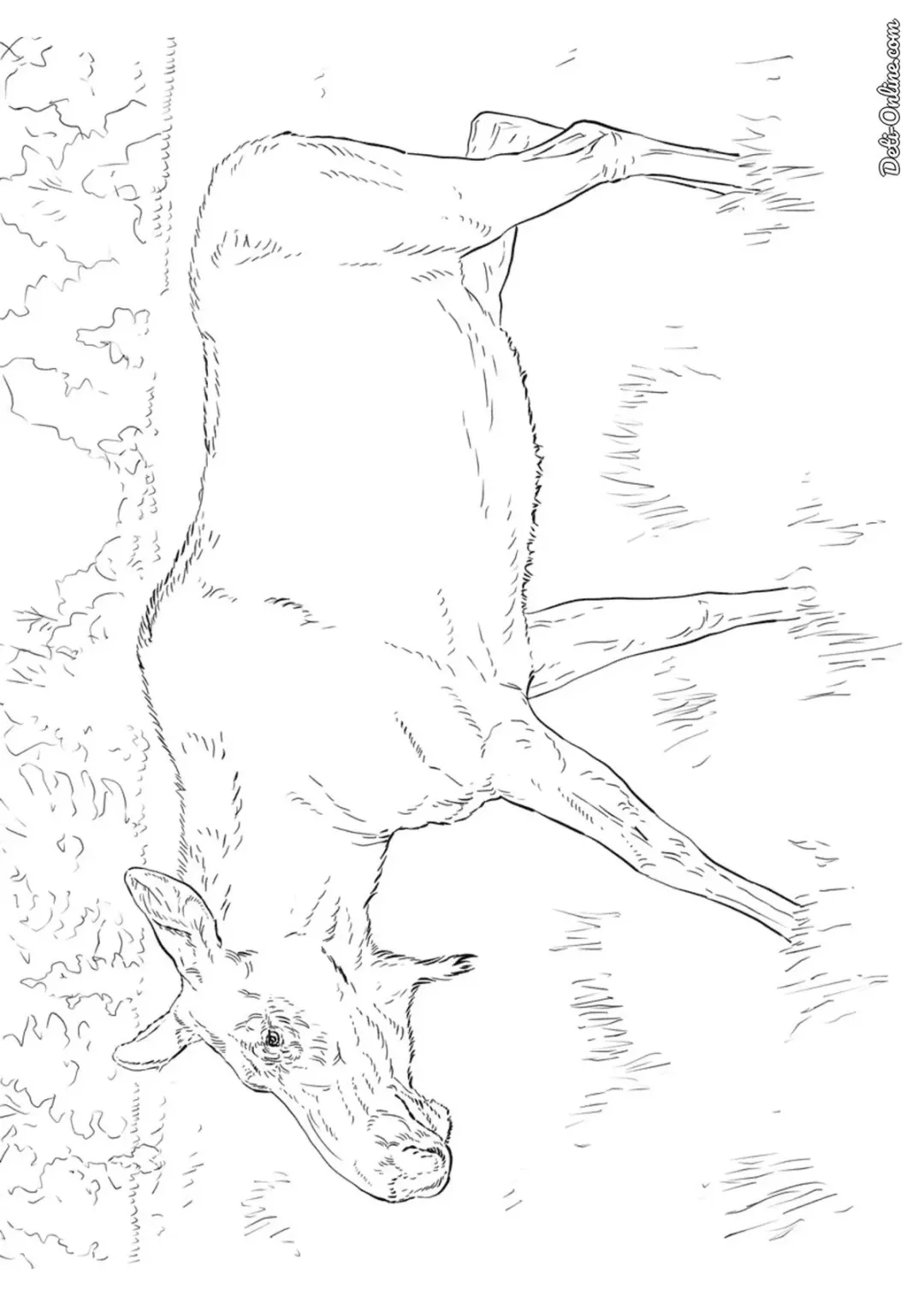 Лосиха