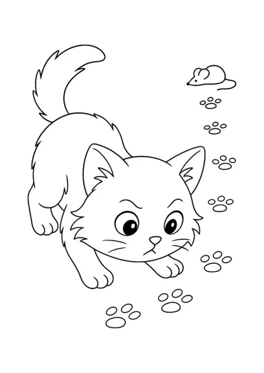 Кот ищет след мышки