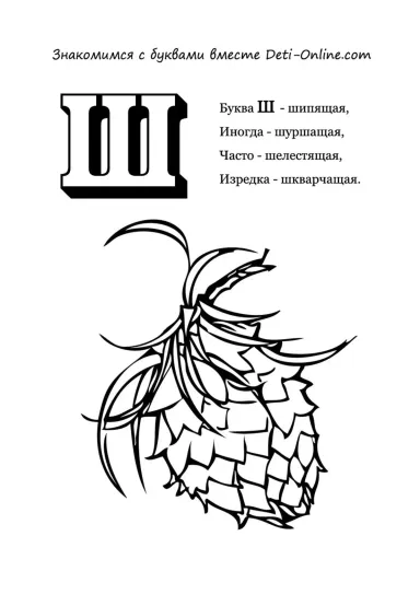 Буква Ш - Шишка