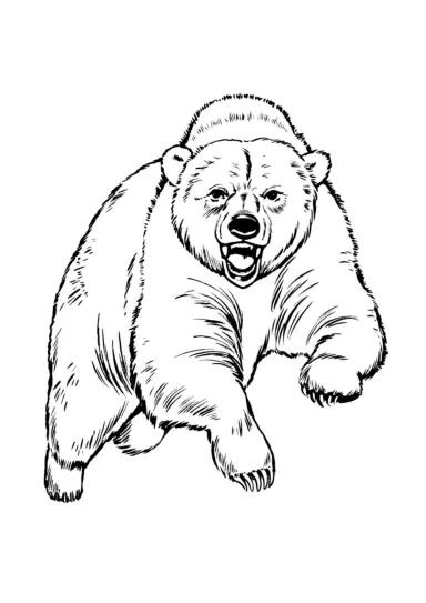 Медведь