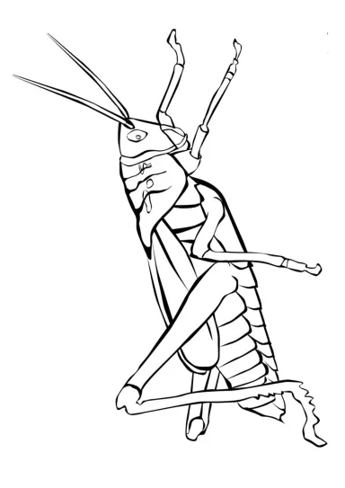 Кузнечик