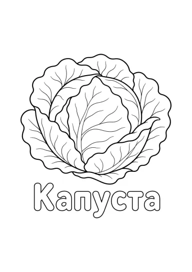 Капуста