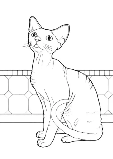 Кошка просит, чтобы её покормили