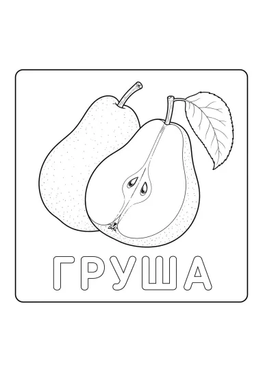 Фрукты Груша