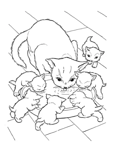 Кошка и шесть котят