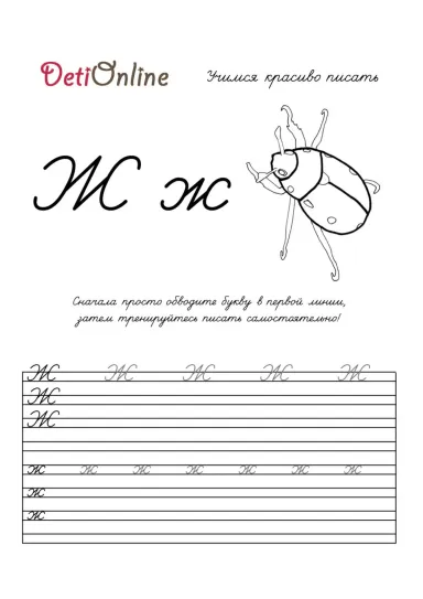 Буква Ж пропись - Жук
