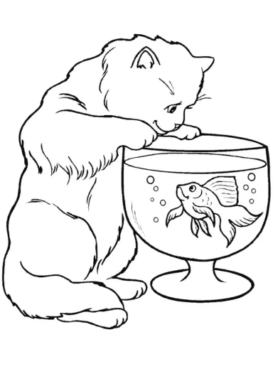 Кот и золотая рыбка