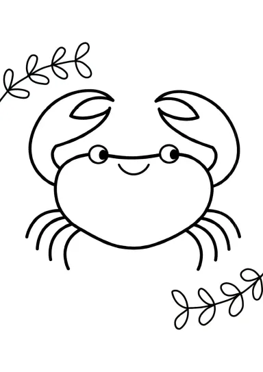 Краб идёт по пляжу