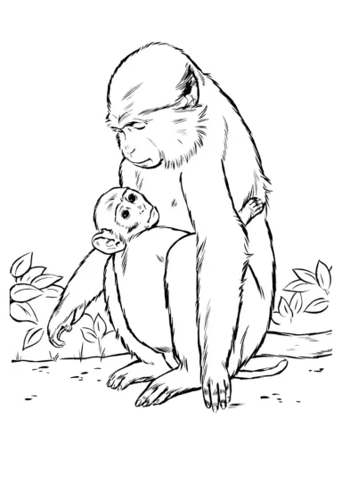 Обезьянки