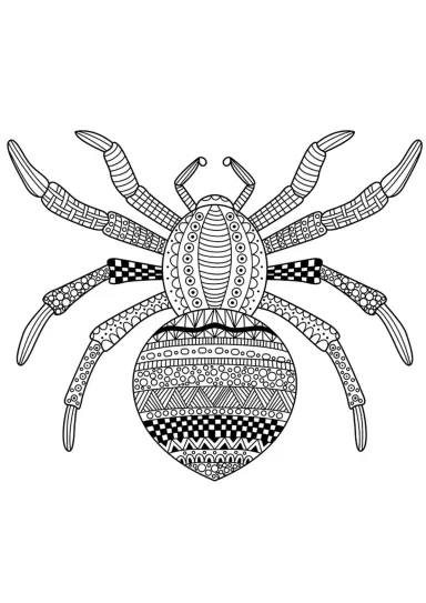 Паук