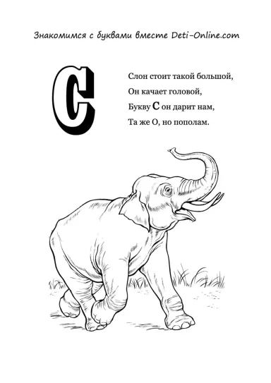 Буква С - Слон