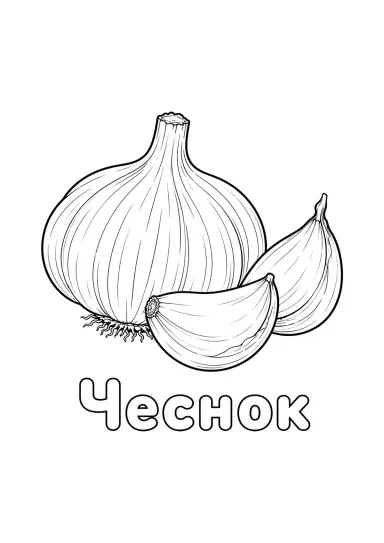 Чеснок