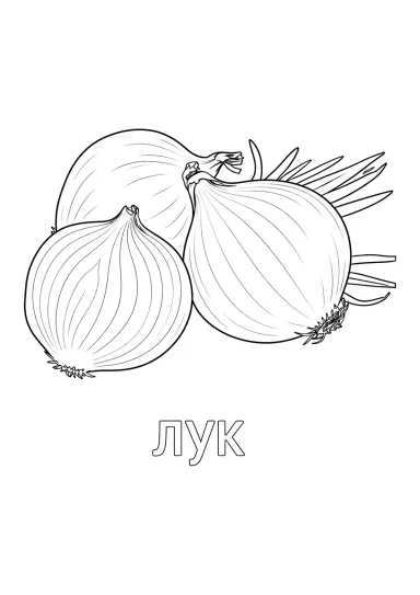 Три луковицы