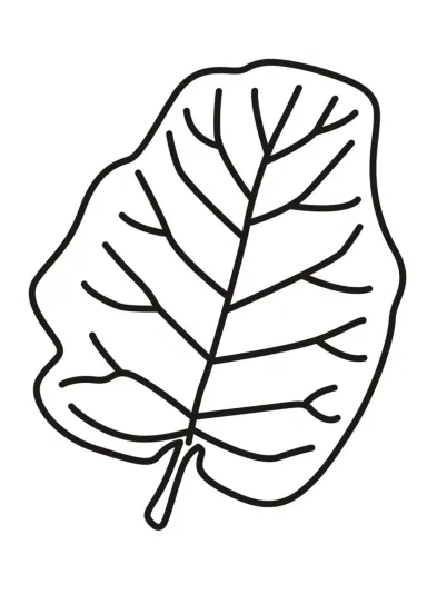 Лист