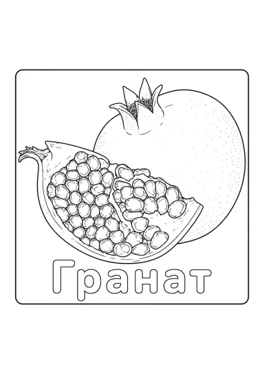 Гранат