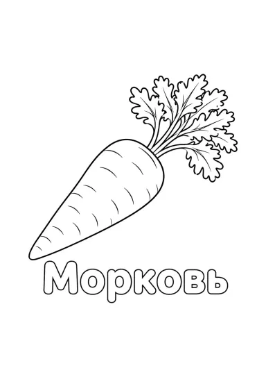 Морковь