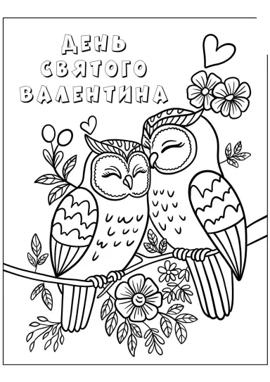 Влюблённые совушки