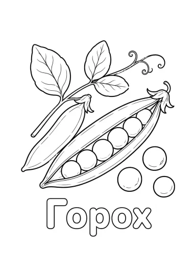 Горох