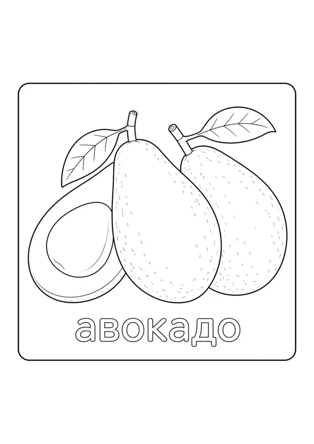 Авокадо