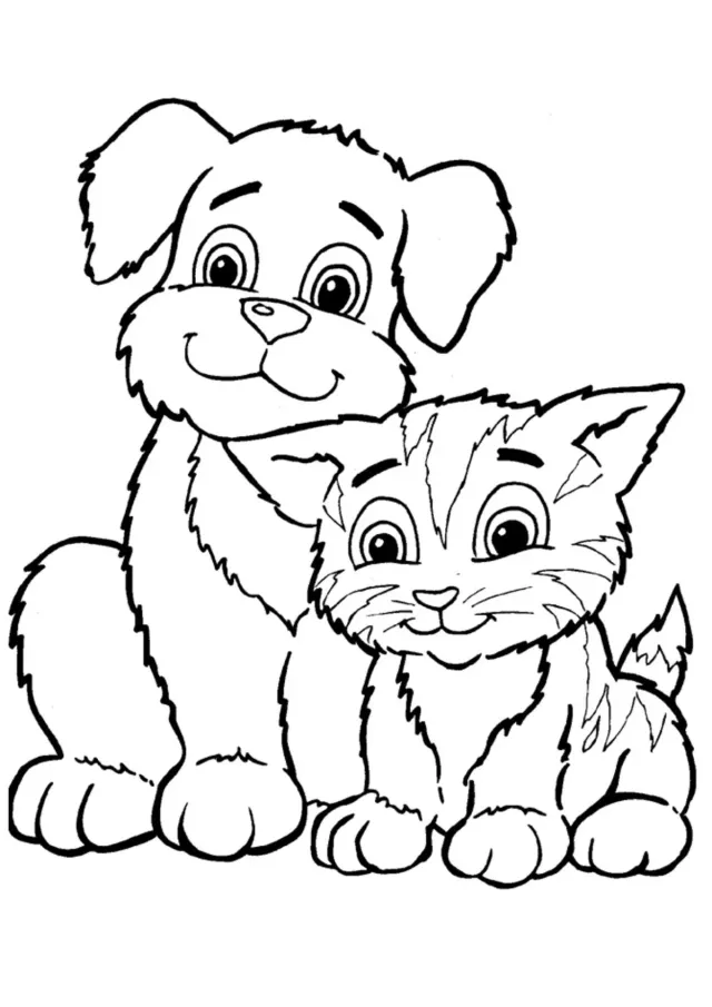Кот и собака