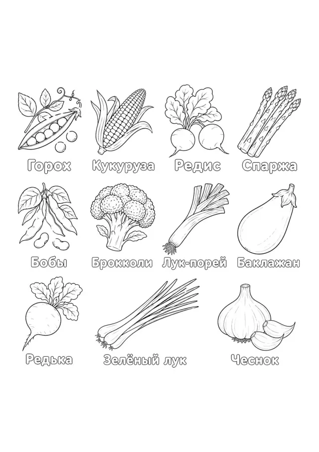 Большая коллекция овощей
