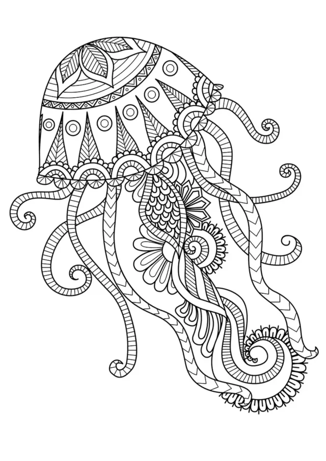 Морская медуза