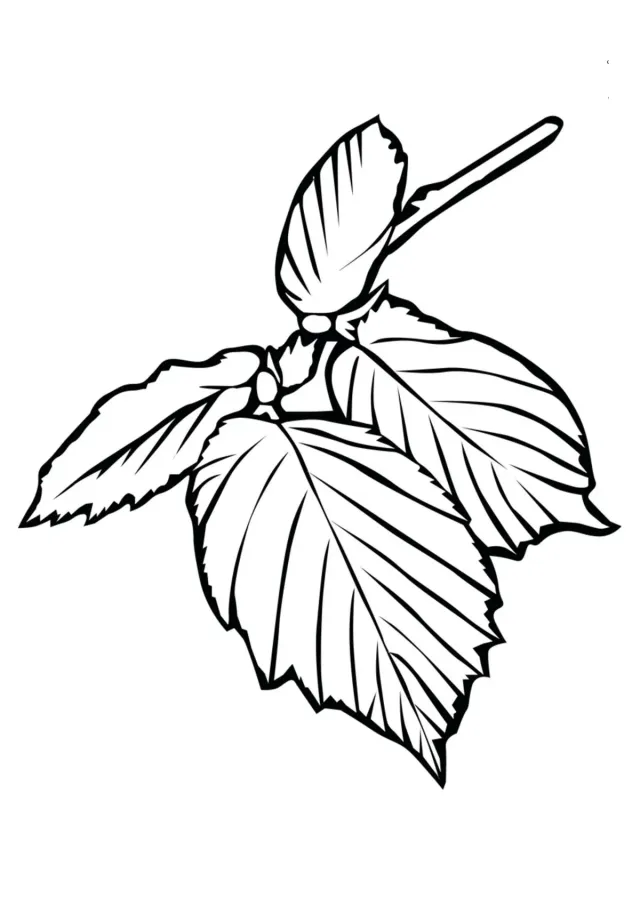 Царский лист
