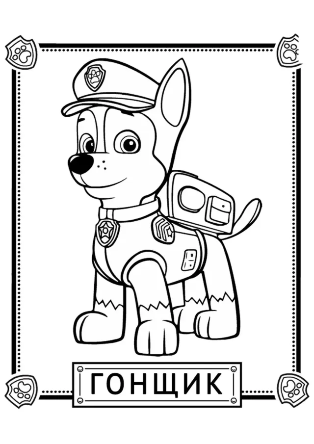 Гонщик