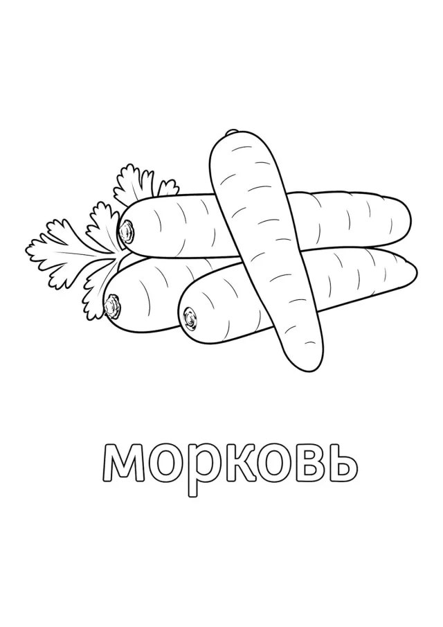 Четыре морковки