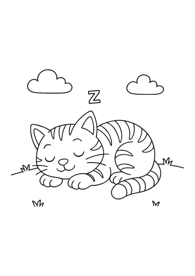 Котенок сладко спит