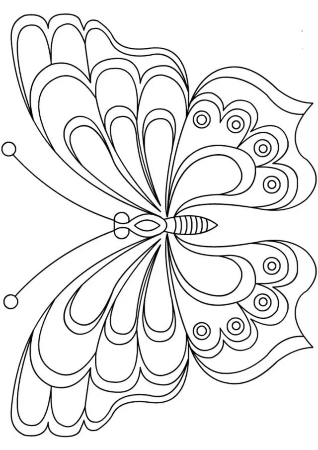 Бабочка с волнистой раскраской