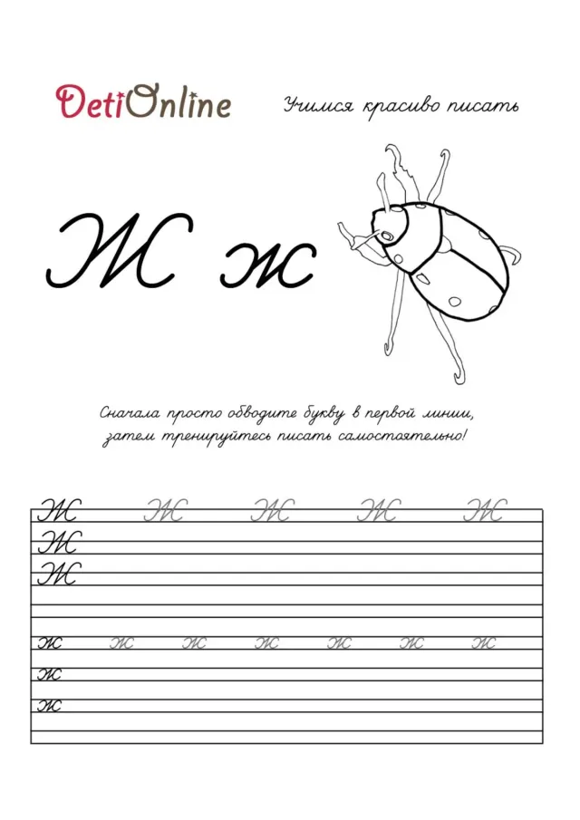 Буква Ж пропись - Жук