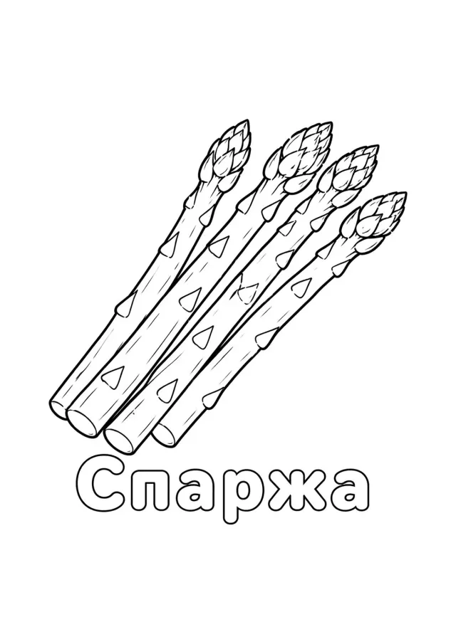 Спаржа