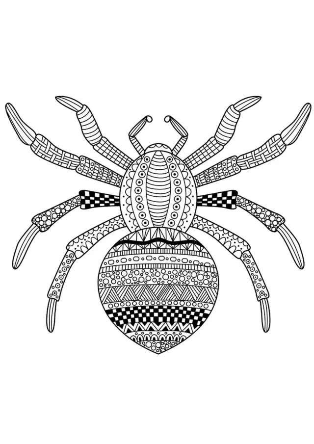 Паук