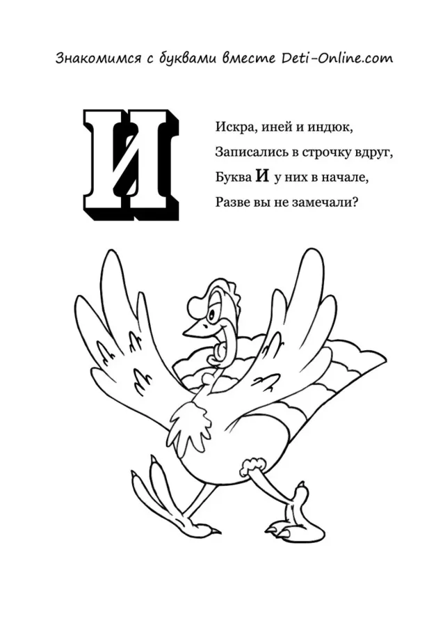 Буква И - Индюк