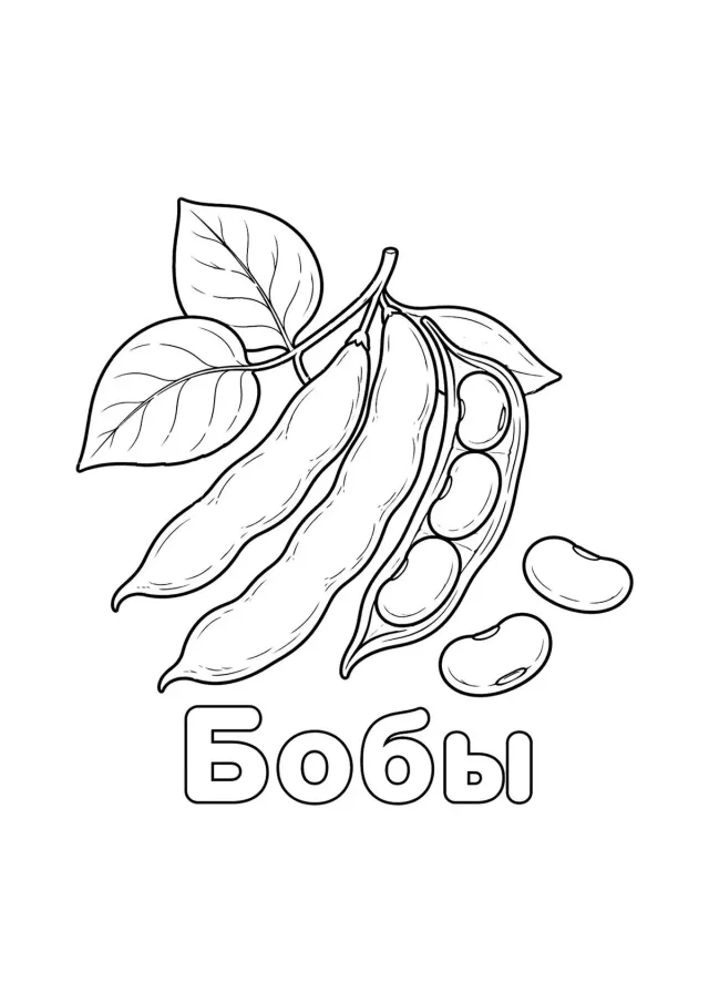 Бобы