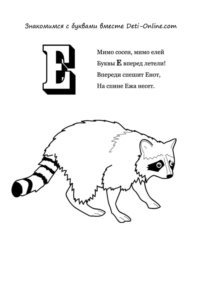Буква Е - Енот