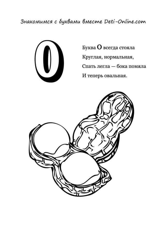 Буква О - Орехи