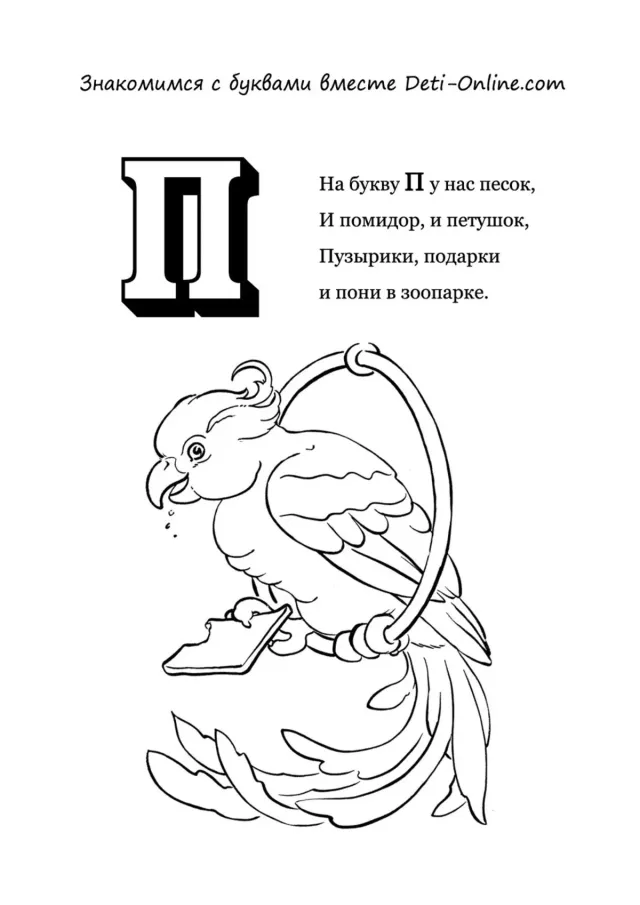 Буква П - Попугай