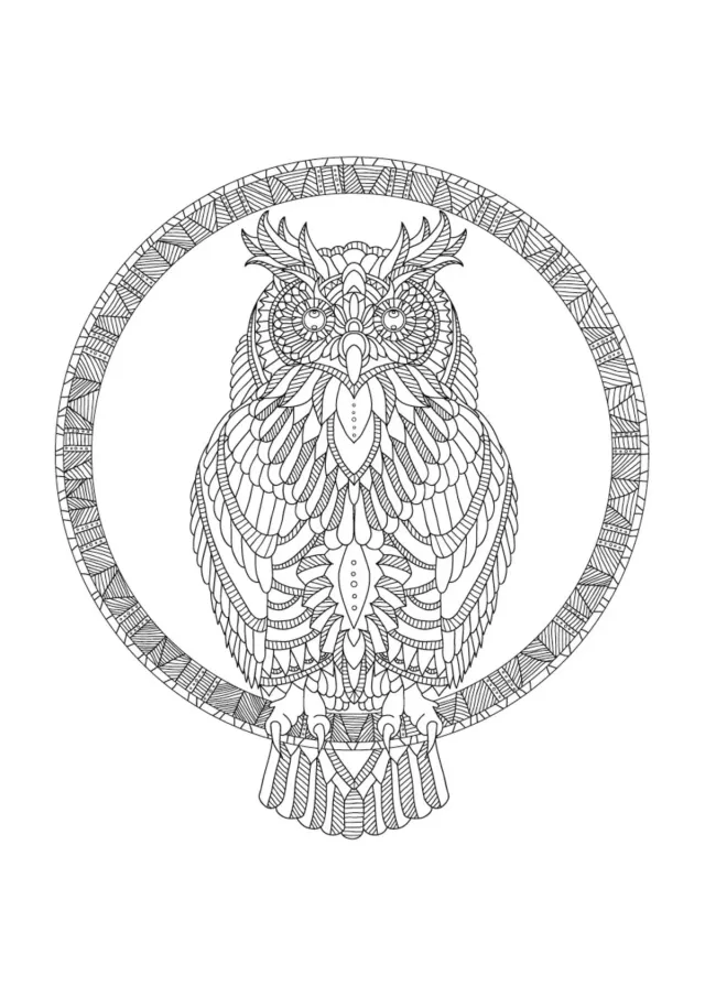Сова в кольце