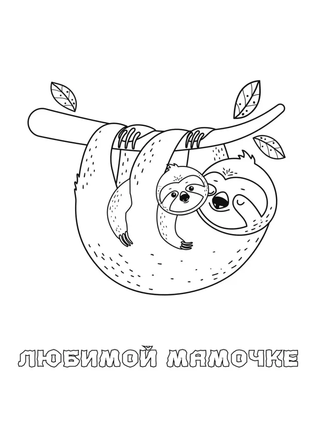 Ленивцы любимой мамочке