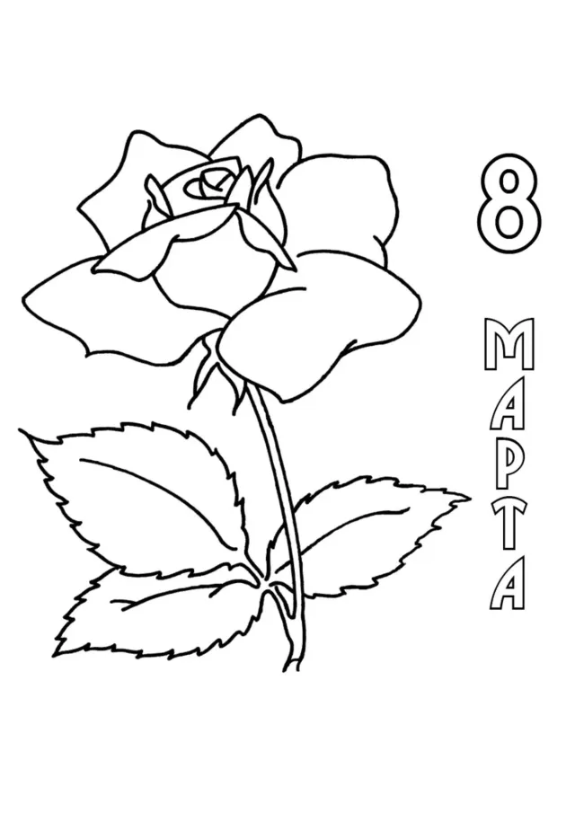 8 марта - цветок