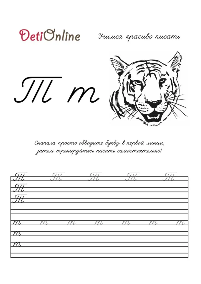 Буква Т пропись - Тигр