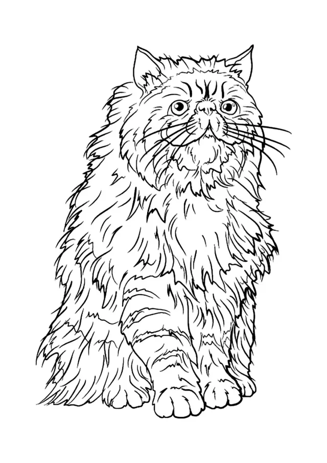 Крукшенкс - кот Гермионы