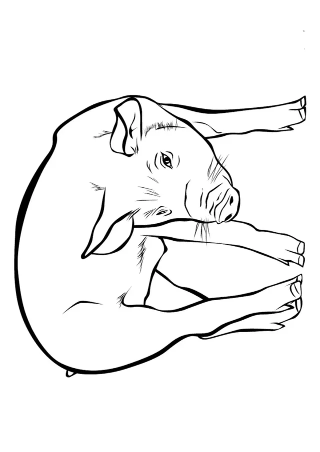 Свинья