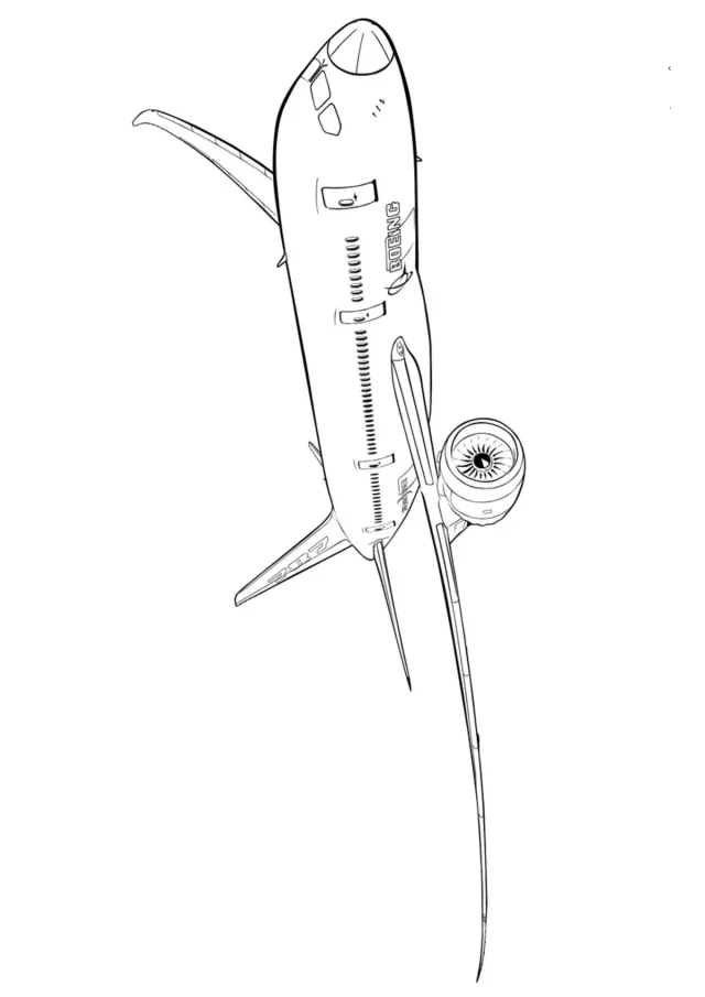 Самолет Boeing 787 Dreamliner